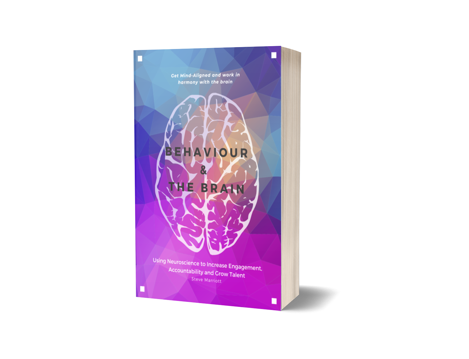 Behaviour and The Brain Book by Steve Marriott